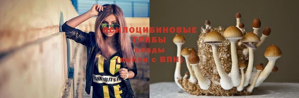 гидропоника Протвино
