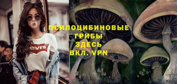 mix Приозерск