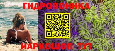 гидропоника Заводоуковск