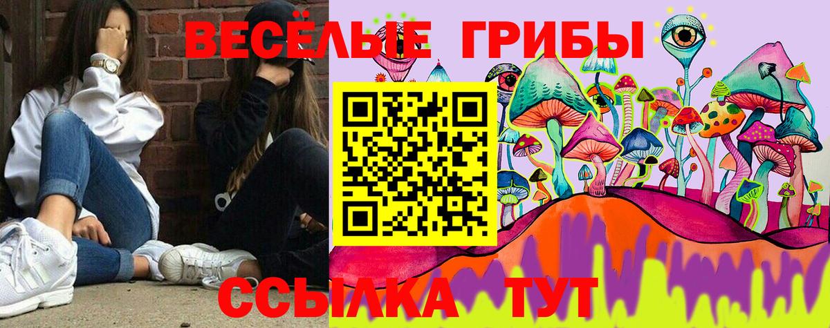 Людиново  Галлюциногенные грибы мухоморы  Вход с VPN 