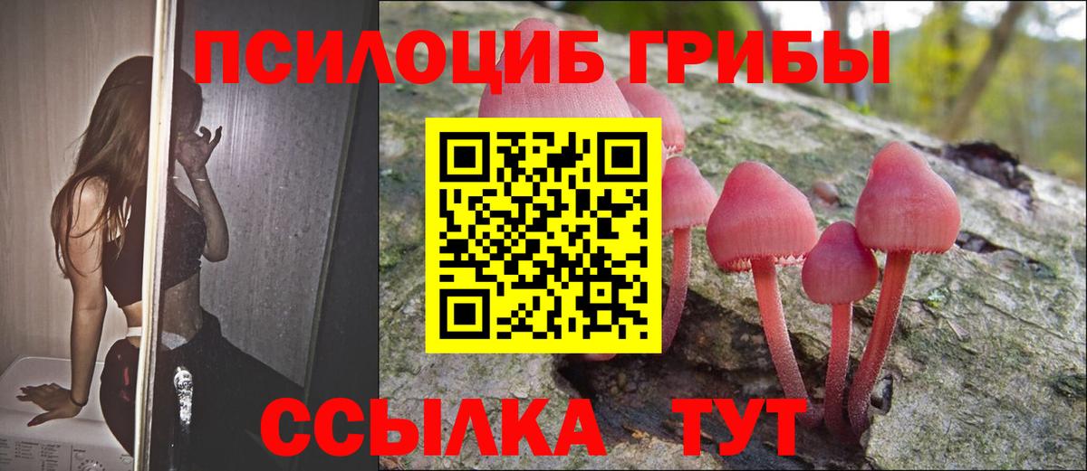 Псилоцибиновые грибы Psilocybine cubensis Людиново